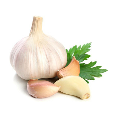 Garlic -রসুন